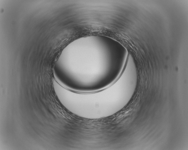 X0000089710916200706210912