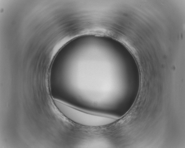 X0000089710960200706210913