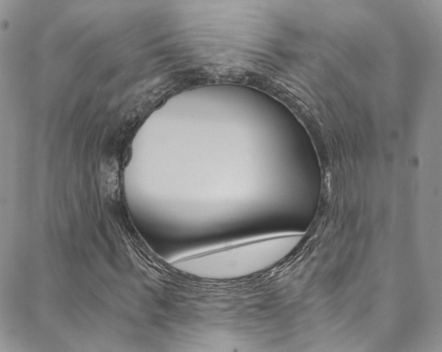 X0000089710963200706210912