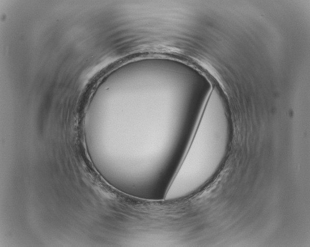 X0000089710971200706210912