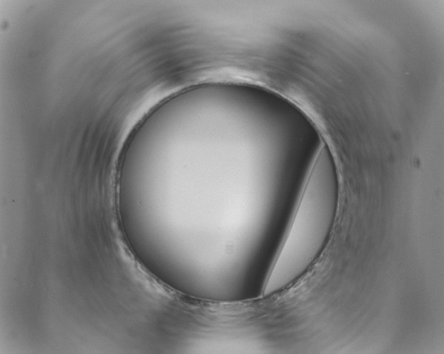 X0000089711008200706210911