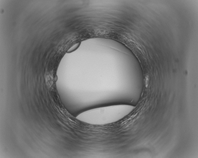 X0000089711011200706210910