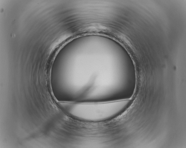 X0000089711018200706210910