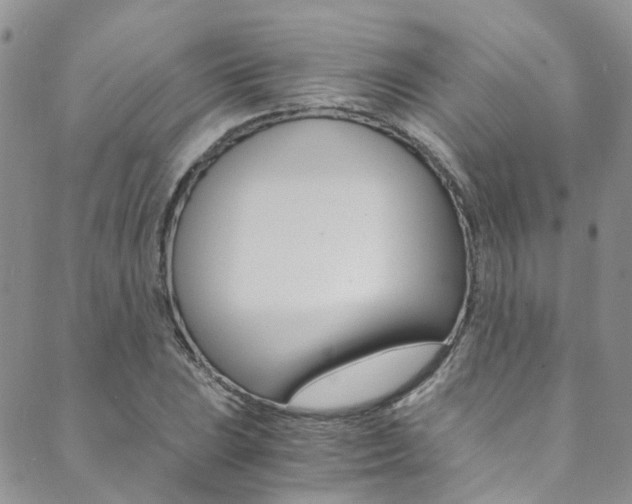 X0000089711023200706210910