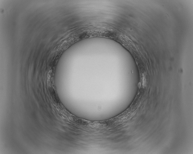 X0000089711059200706210910