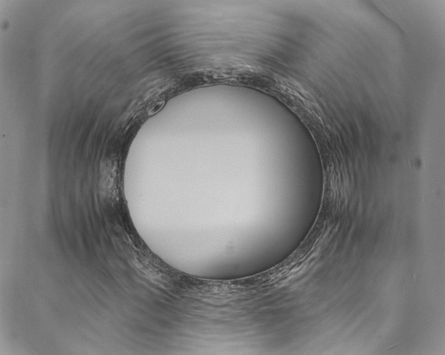 X0000089711060200706210910