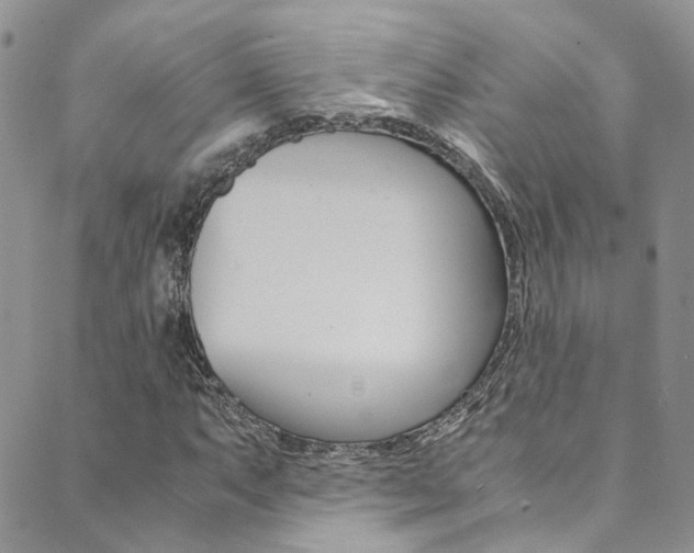 X0000089711063200706210910