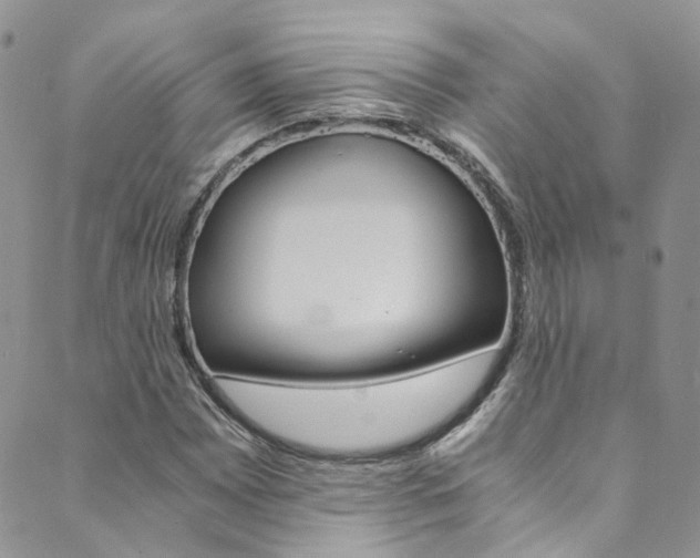 X0000089711065200706210910