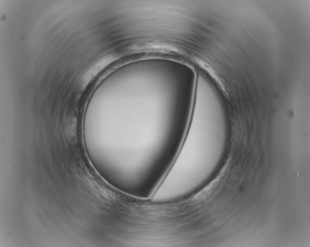X0000089711066200706210910