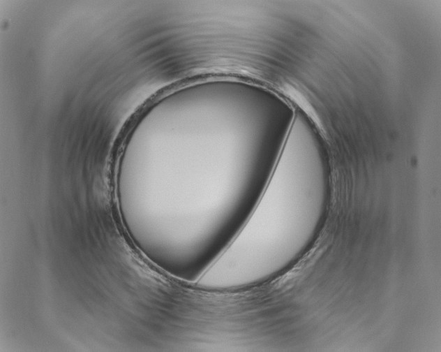 X0000089711068200706210910