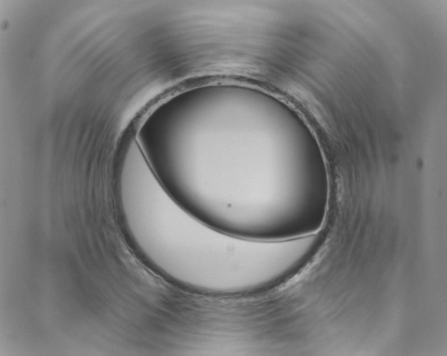 X0000089711069200706210910