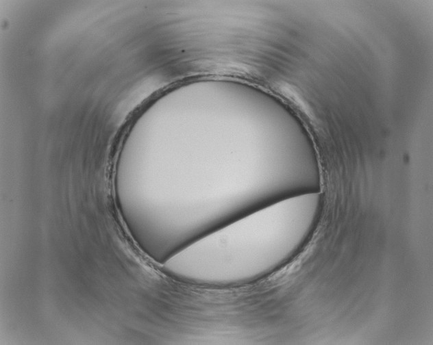 X0000089711071200706210910