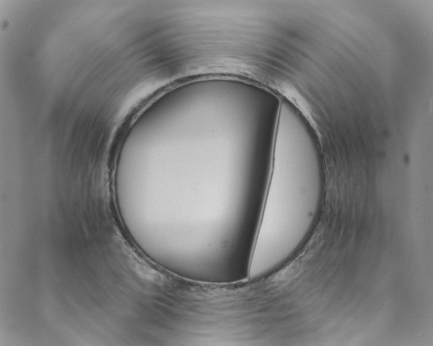 X0000089711072200706210910