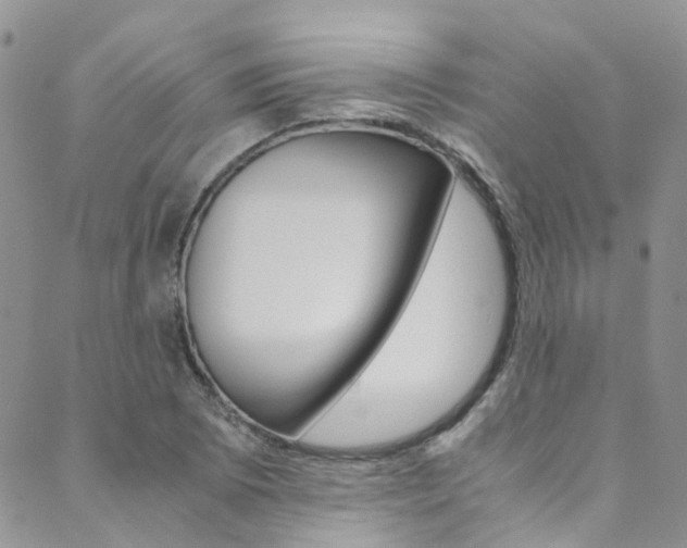 X0000089711073200706210910