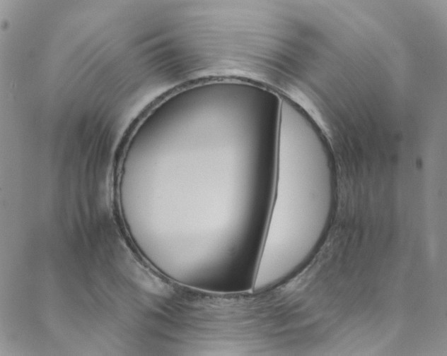 X0000089711076200706210910