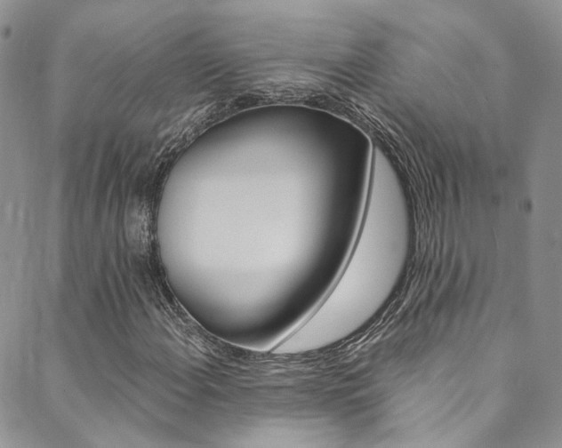 X0000089711108200706210909