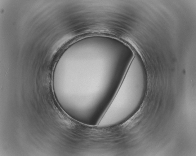 X0000089711115200706210909