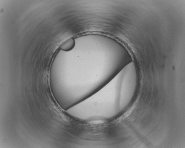 X0000089711121200706210909