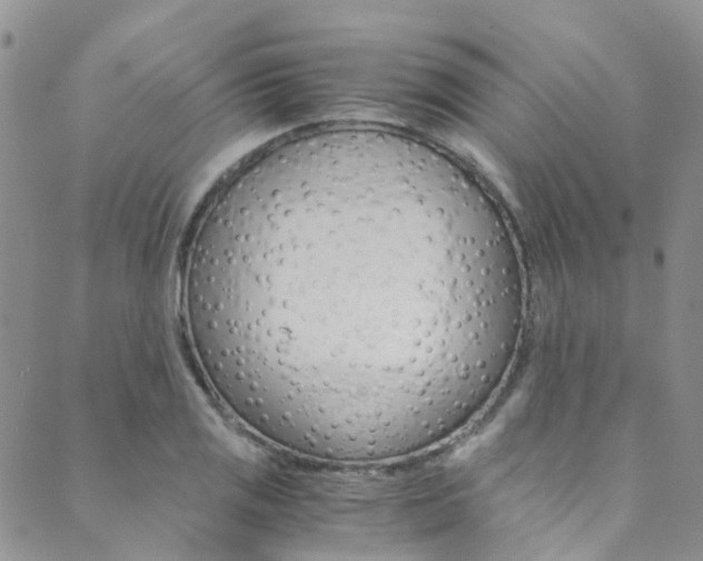X0000089711125200706210909