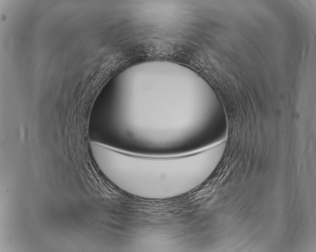 X0000089711153200706210909