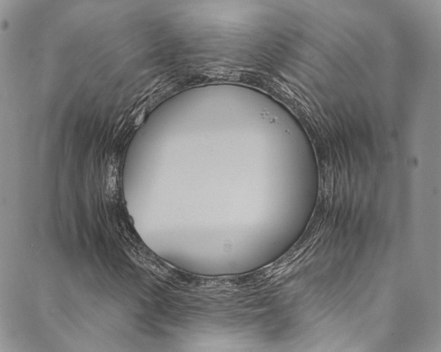 X0000089711154200706210909