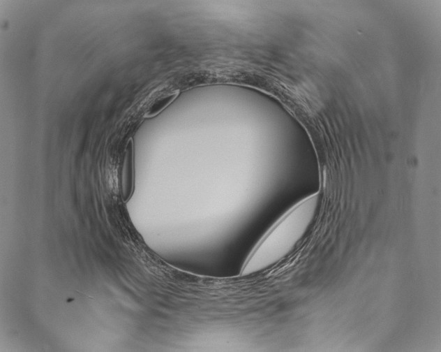 X0000089711155200706210909