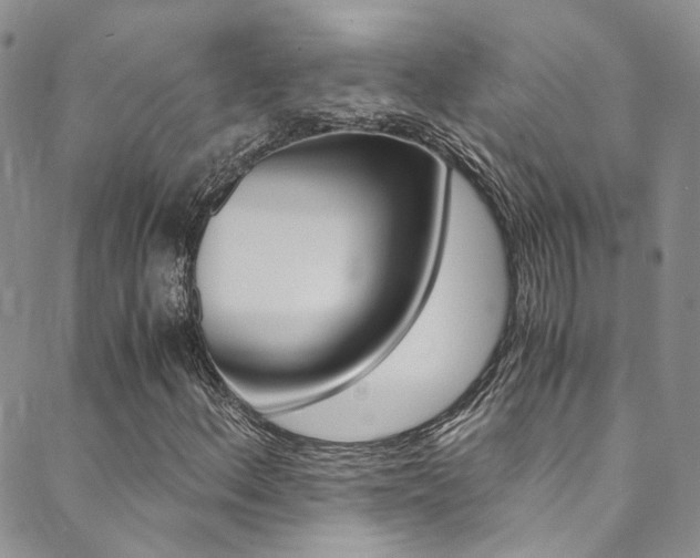 X0000089711156200706210909
