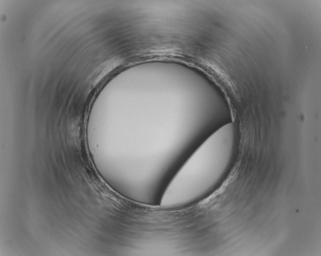 X0000089711162200706210908