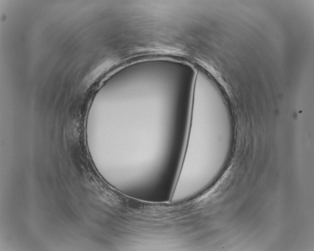 X0000089711163200706210908