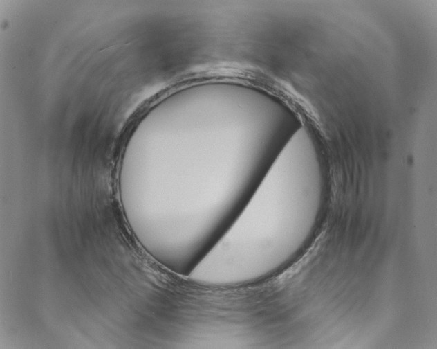 X0000089711166200706210908