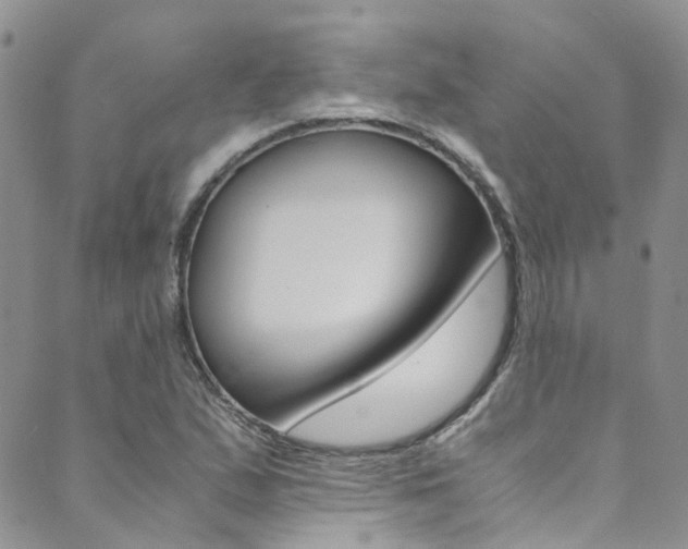 X0000089711167200706210908