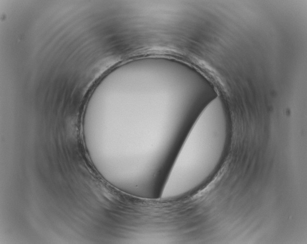 X0000089711170200706210908