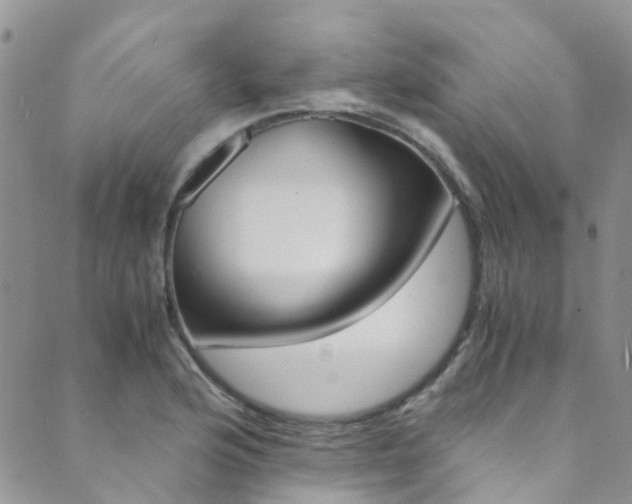 X0000089711176200706210908