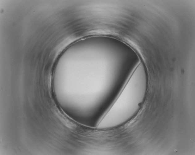 X0000089711179200706210908
