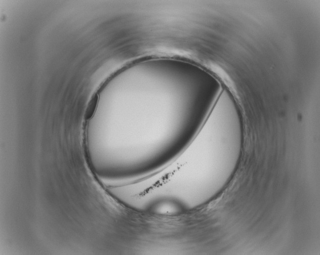 X0000089711183200706210908