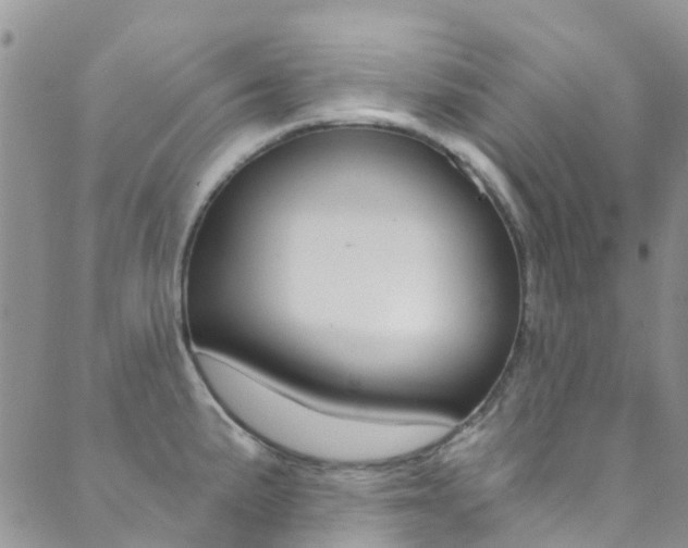 X0000089711191200706210908