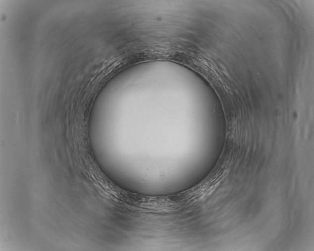 X0000089711201200706210907