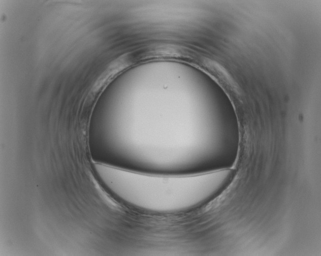 X0000089711225200706210907