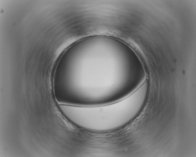 X0000089711230200706210908