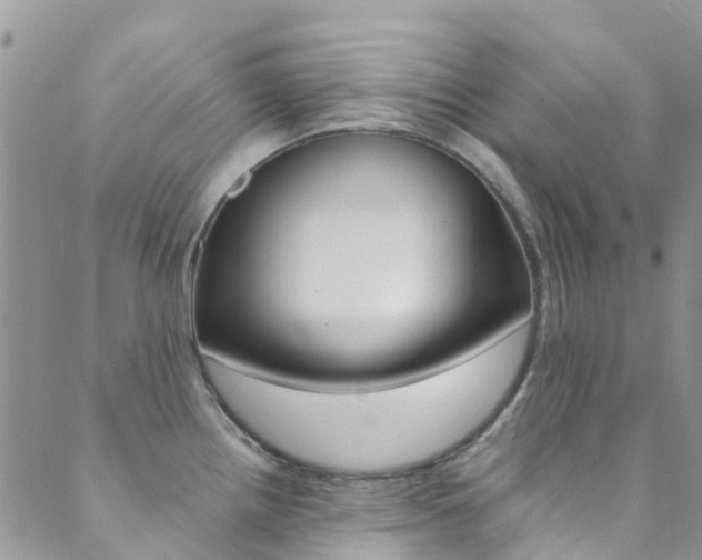 X0000089711242200706210908
