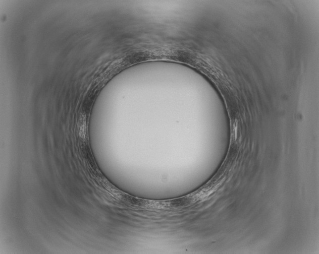 X0000089711251200706210907