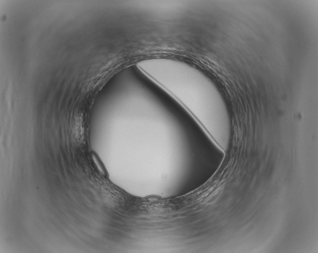 X0000089711252200706210907