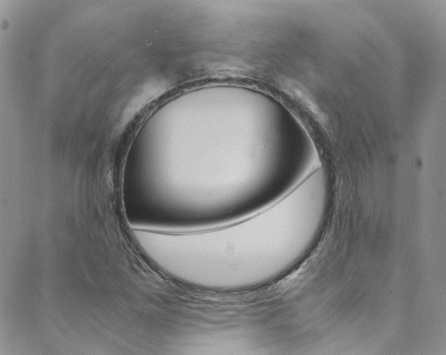 X0000089711261200706210907
