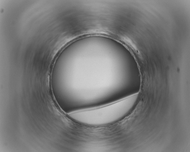 X0000089711268200706210907