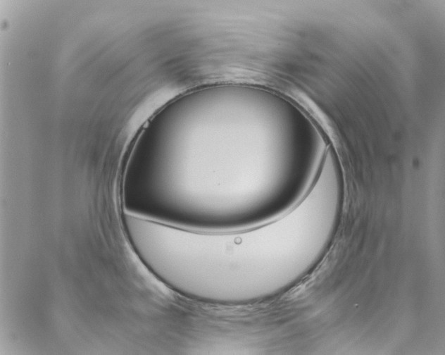 X0000089711293200706210906