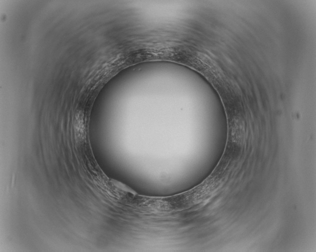 X0000089711298200706210906
