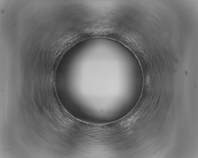 X0000089711300200706210906