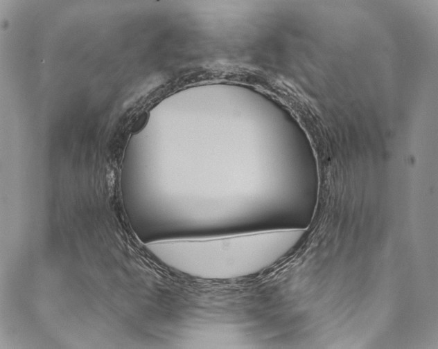 X0000089711302200706210906