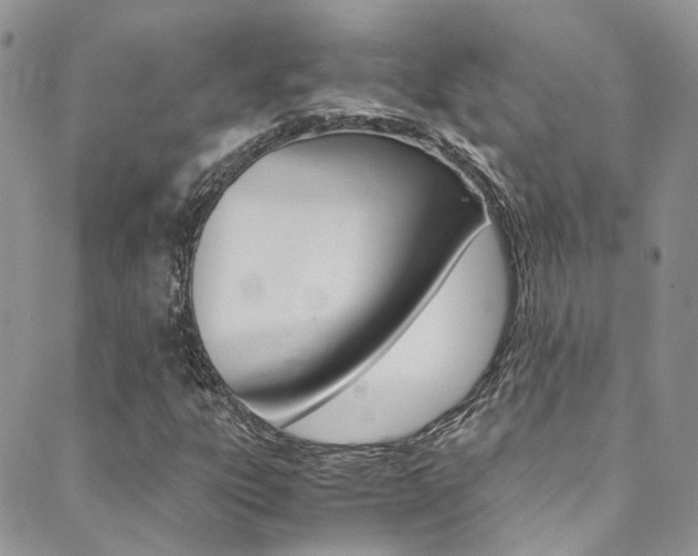 X0000089711303200706210906
