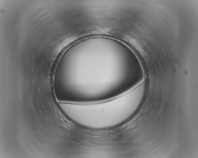 X0000089711308200706210906